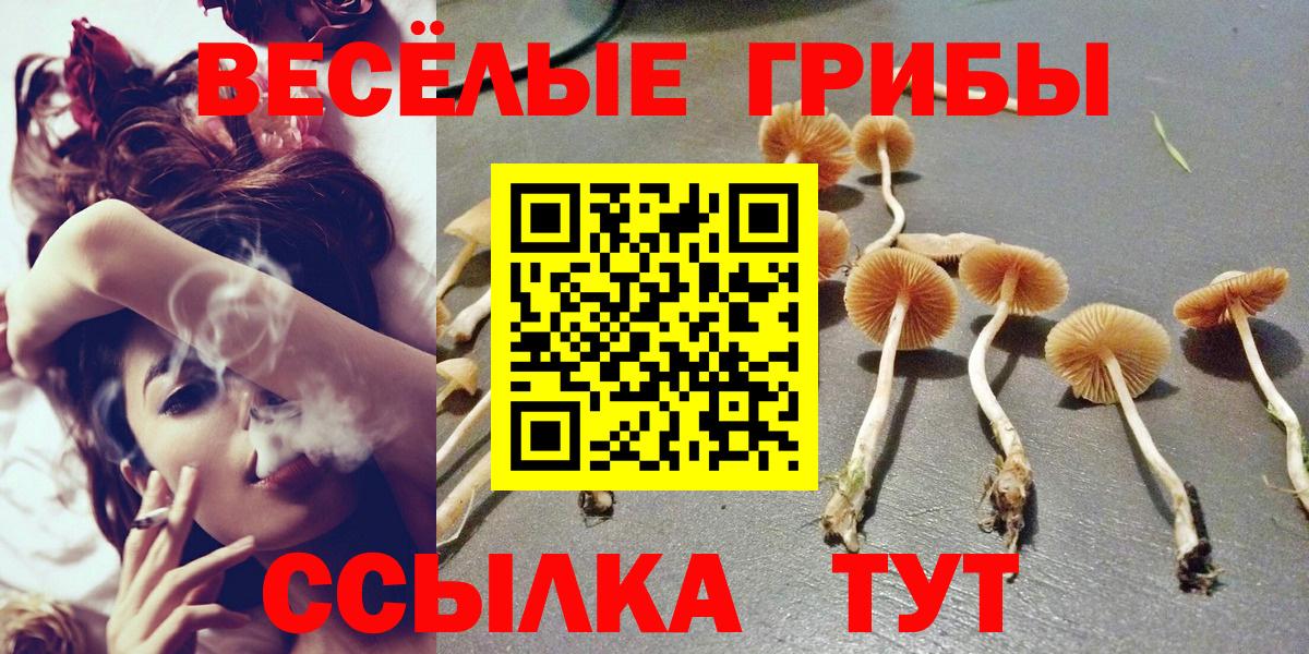 Карабулак  Псилоцибиновые грибы MAGIC MUSHROOMS  Вход с VPN  Псилоцибиновые грибы GOLDEN TEACHER 